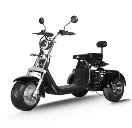 City Coco Stable Trike 2000W