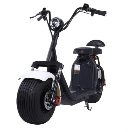 City Coco Cool LT-018