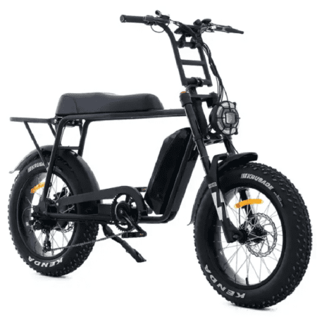 Electric Fatbike Vanquish S1 version X