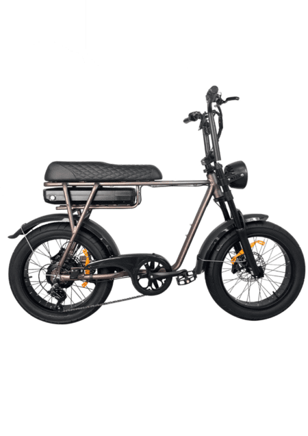 Fatbike Électrique Confort v2 - Castanho