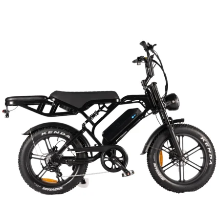 Cargo Ranger V20 Pro 6.0 electric bike - fully equipped two-seater