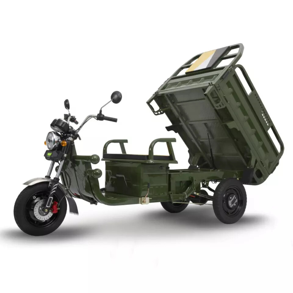 Triporteur électrique Cargo 500 - Homologué Route  1000W/60V-20ah